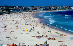 Bondi Beach View